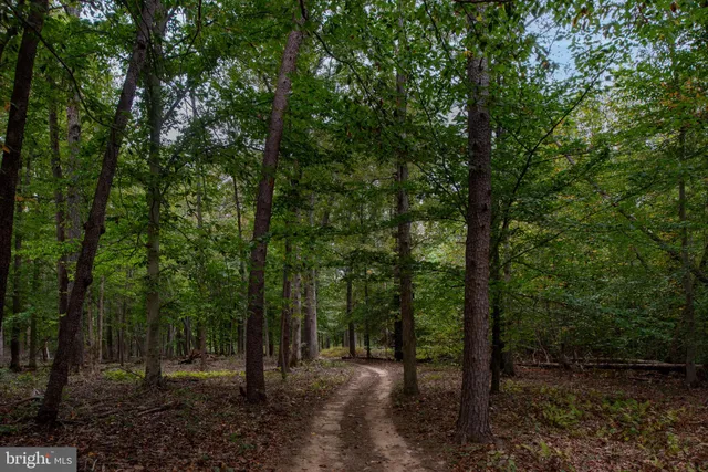 $975,000 | 11497 Yeats Drive, Catlett, VA 20119