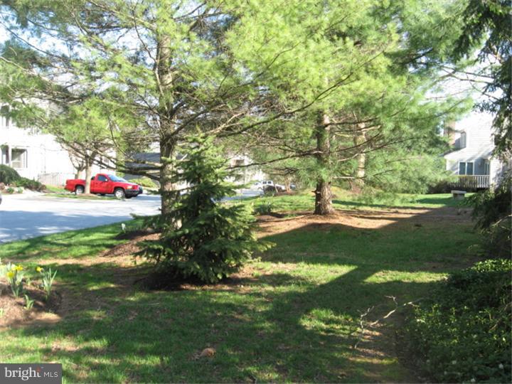 49 Harrison Road East West Chester, PA 19380 - Photo 24 of 25 Back Yard