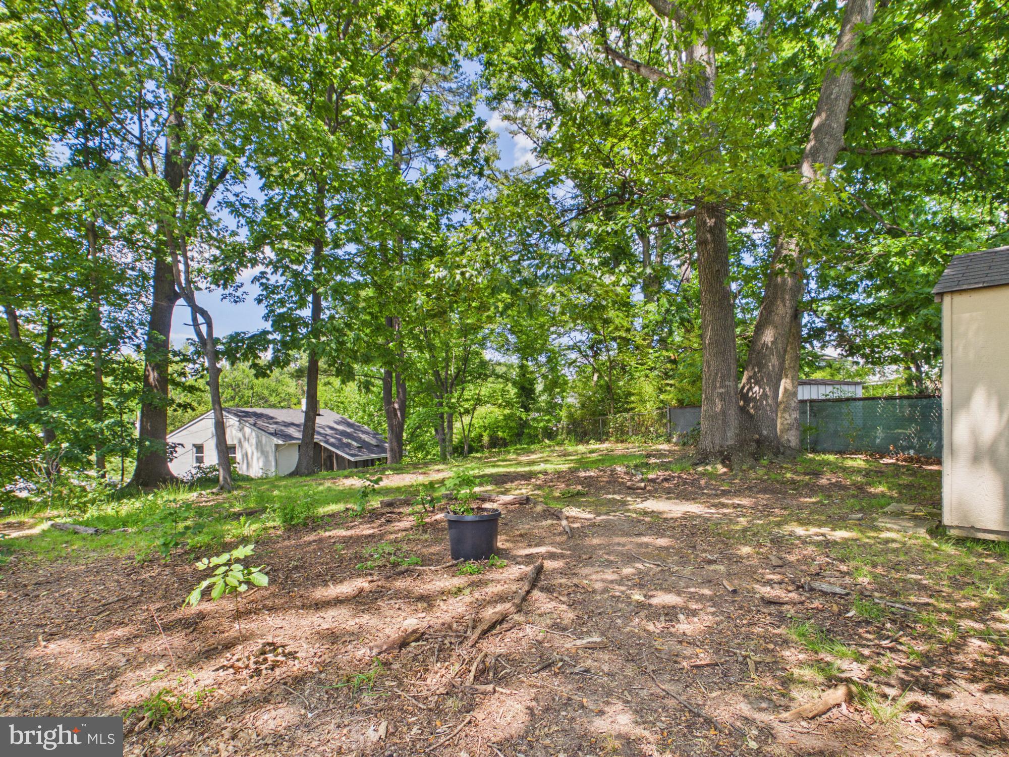 5512 Kathleen Place Springfield, VA 22151 - Photo 39 of 42 Serene wooded lot ready for dreams.