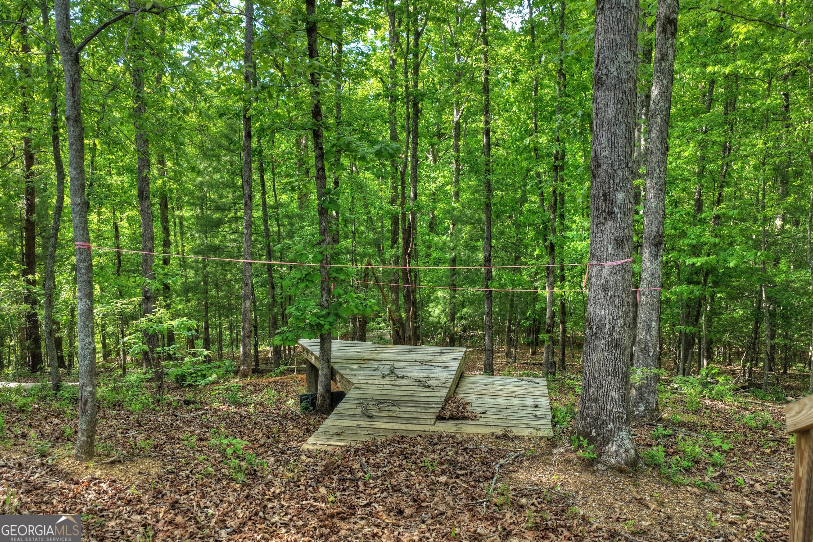 8-ac Mcnelley Road Morganton, GA 30560 - Photo 9 of 47