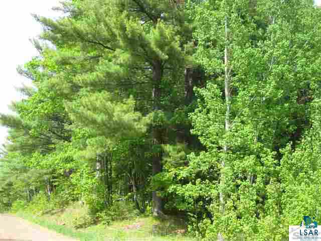 0 Pine Tree Lane Shell Lake, WI 54871 - Photo 3 of 10