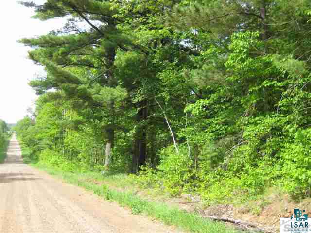 0 Pine Tree Lane Shell Lake, WI 54871 - Photo 4 of 10