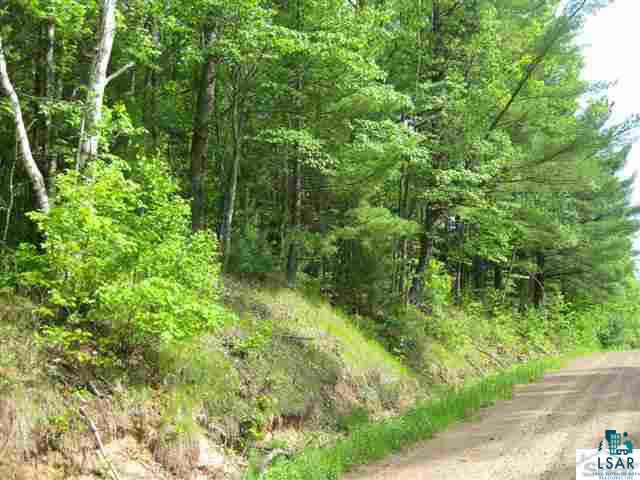 0 Pine Tree Lane Shell Lake, WI 54871 - Photo 5 of 10