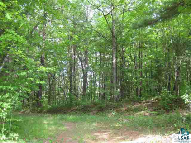 0 Pine Tree Lane Shell Lake, WI 54871 - Photo 6 of 10