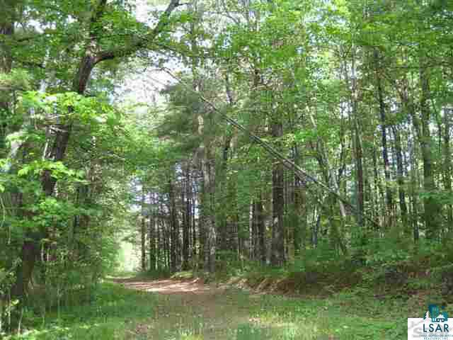 0 Pine Tree Lane Shell Lake, WI 54871 - Photo 7 of 10