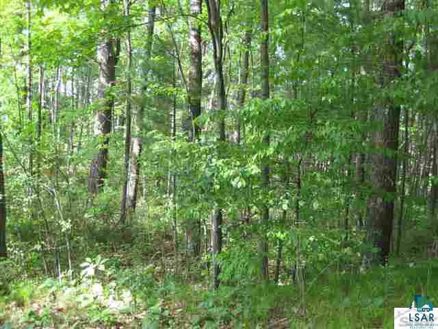 0 Pine Tree Lane Shell Lake, WI 54871 - Photo 8 of 10