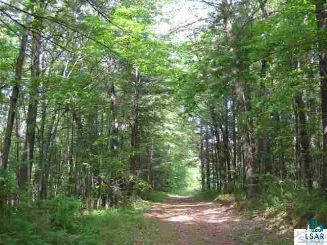 0 Pine Tree Lane Shell Lake, WI 54871 - Photo 9 of 10