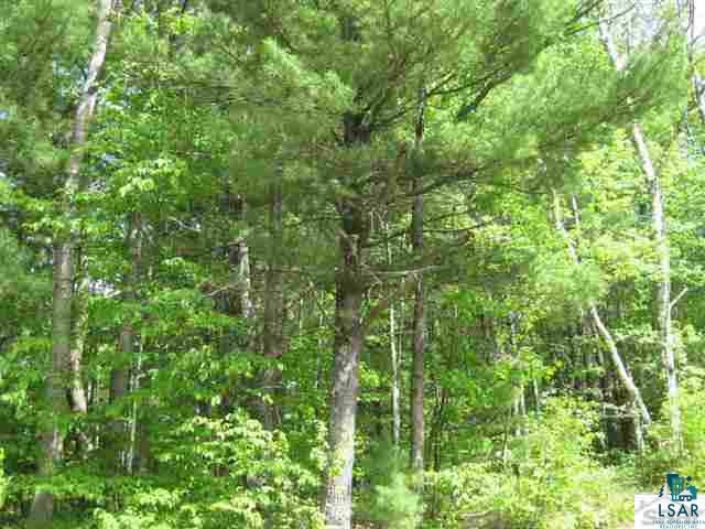 0 Pine Tree Lane Shell Lake, WI 54871 - Photo 10 of 10