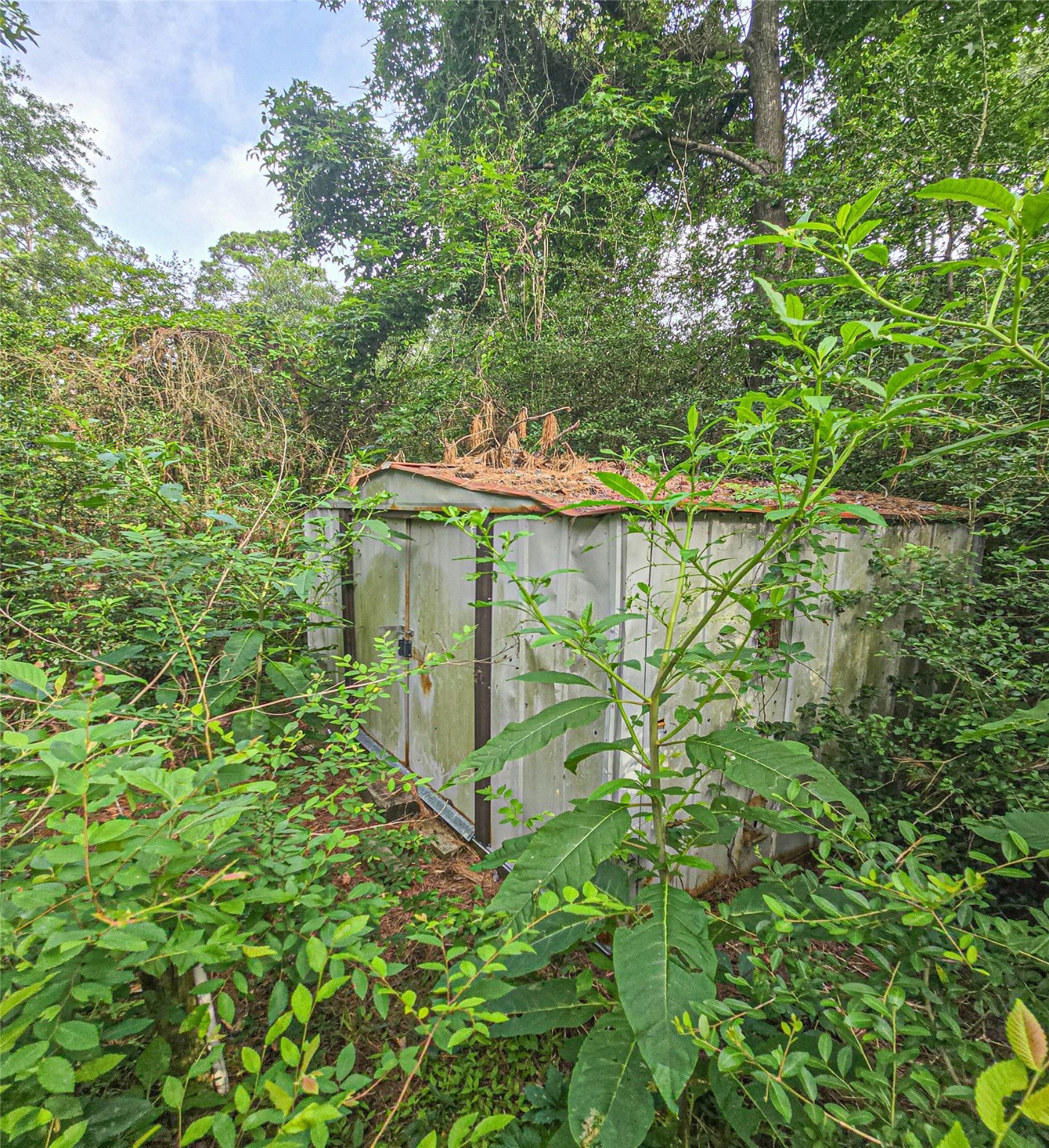 Tbd Jaguar North Onalaska, TX 77360 - Photo 3 of 7 a green field with lots of trees
