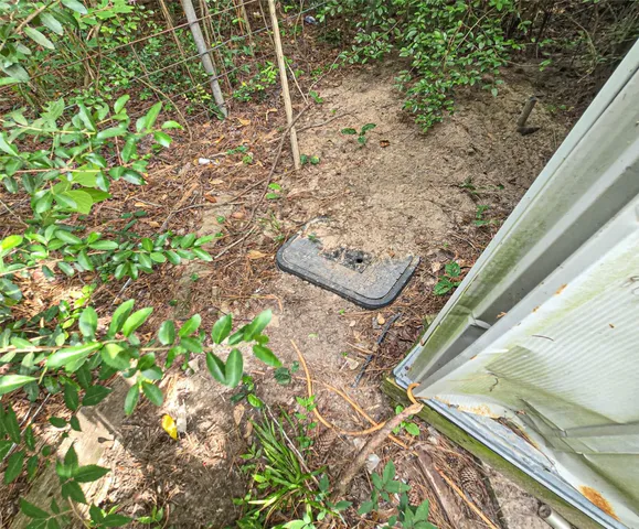 a picture of a back yard