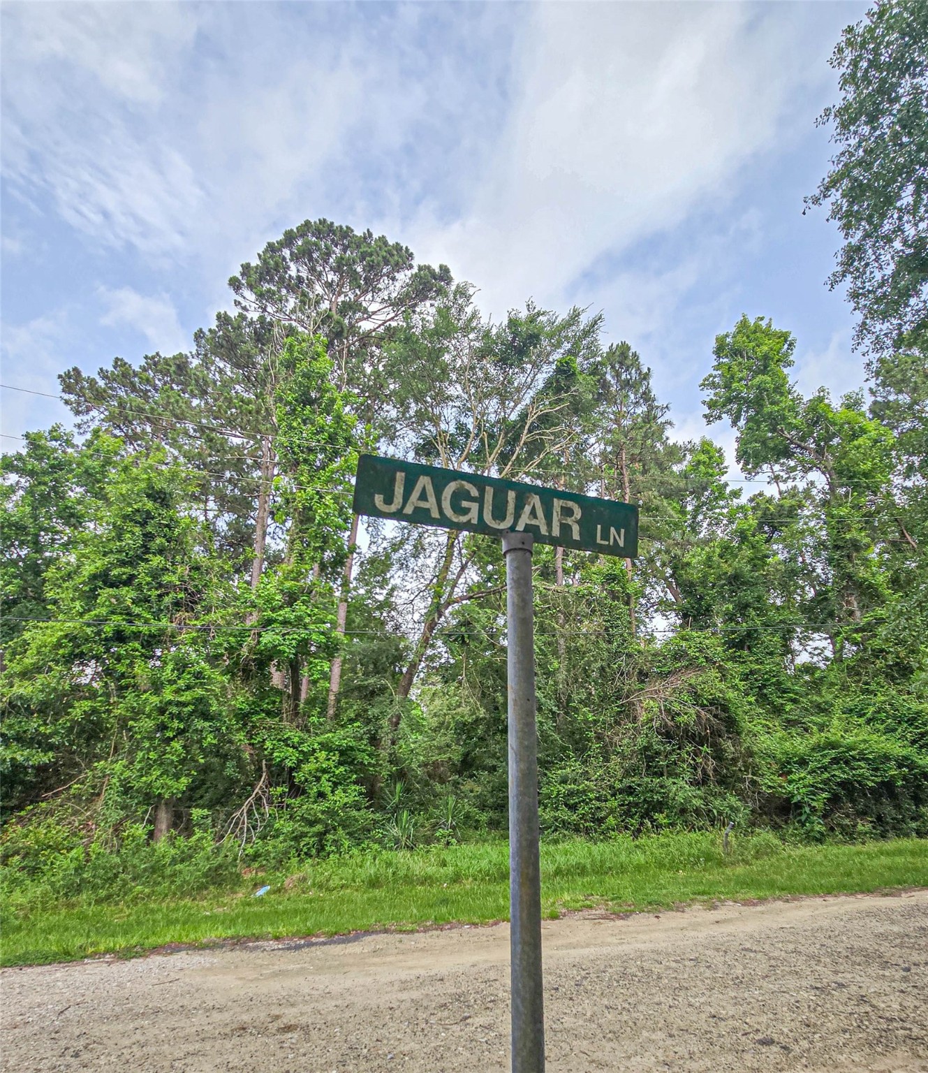 Tbd Jaguar North Onalaska, TX 77360 - Photo 7 of 7 a view of a yard with a tree