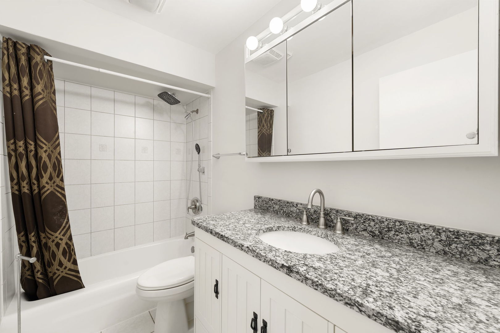 5400 West Dakin Street, Unit 1 Chicago, IL 60641 - Photo 17 of 20 a bathroom with a granite countertop sink and a mirror a bathtub