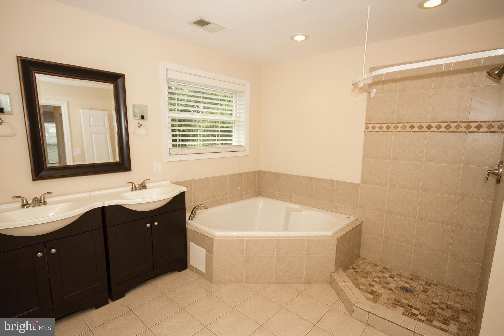642 Orpington Road Baltimore, MD 21229 - Photo 16 of 20 Luxury Master Bath