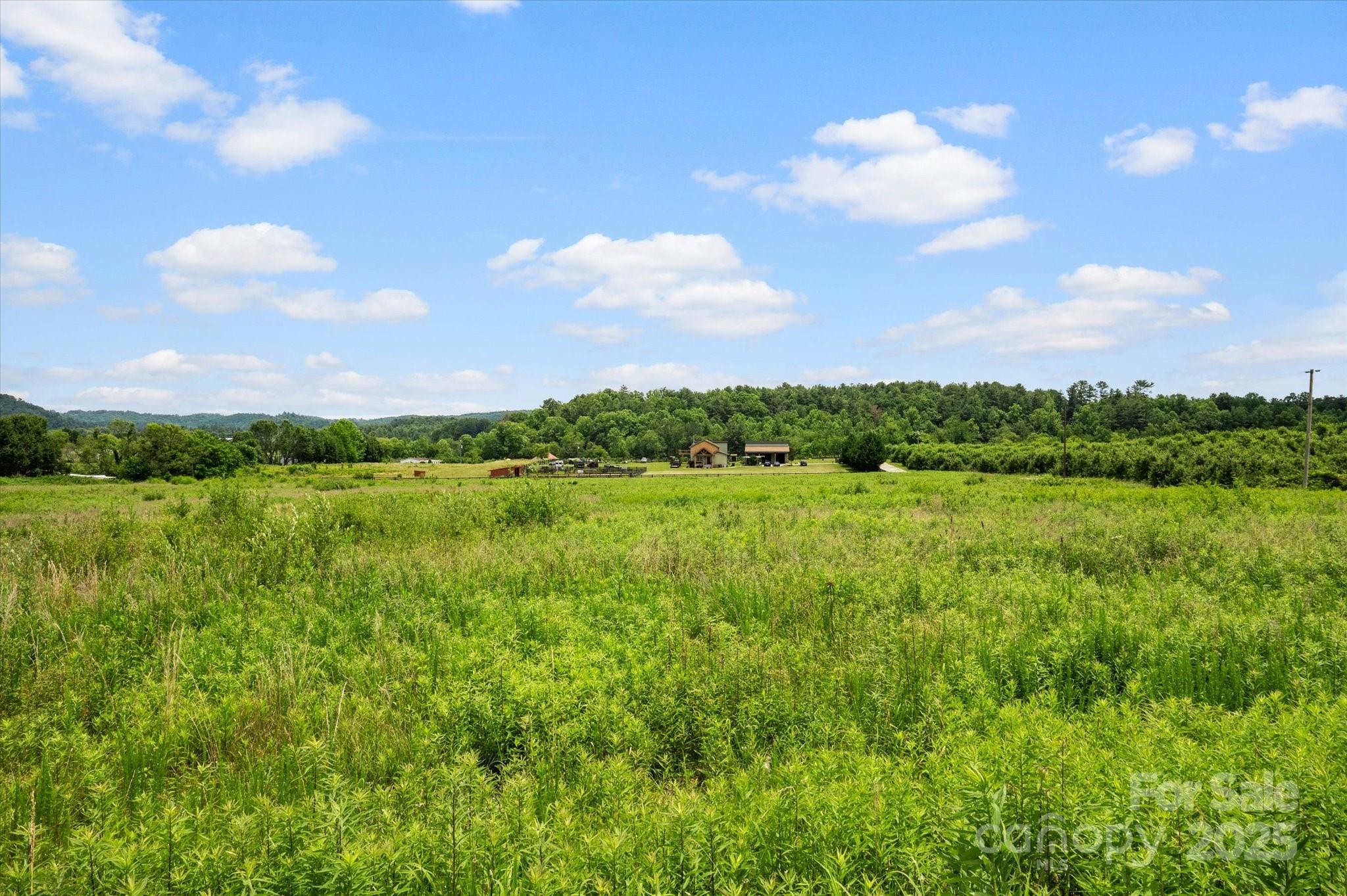 999 Pace Road Hendersonville, NC 28792 - Photo 11 of 25