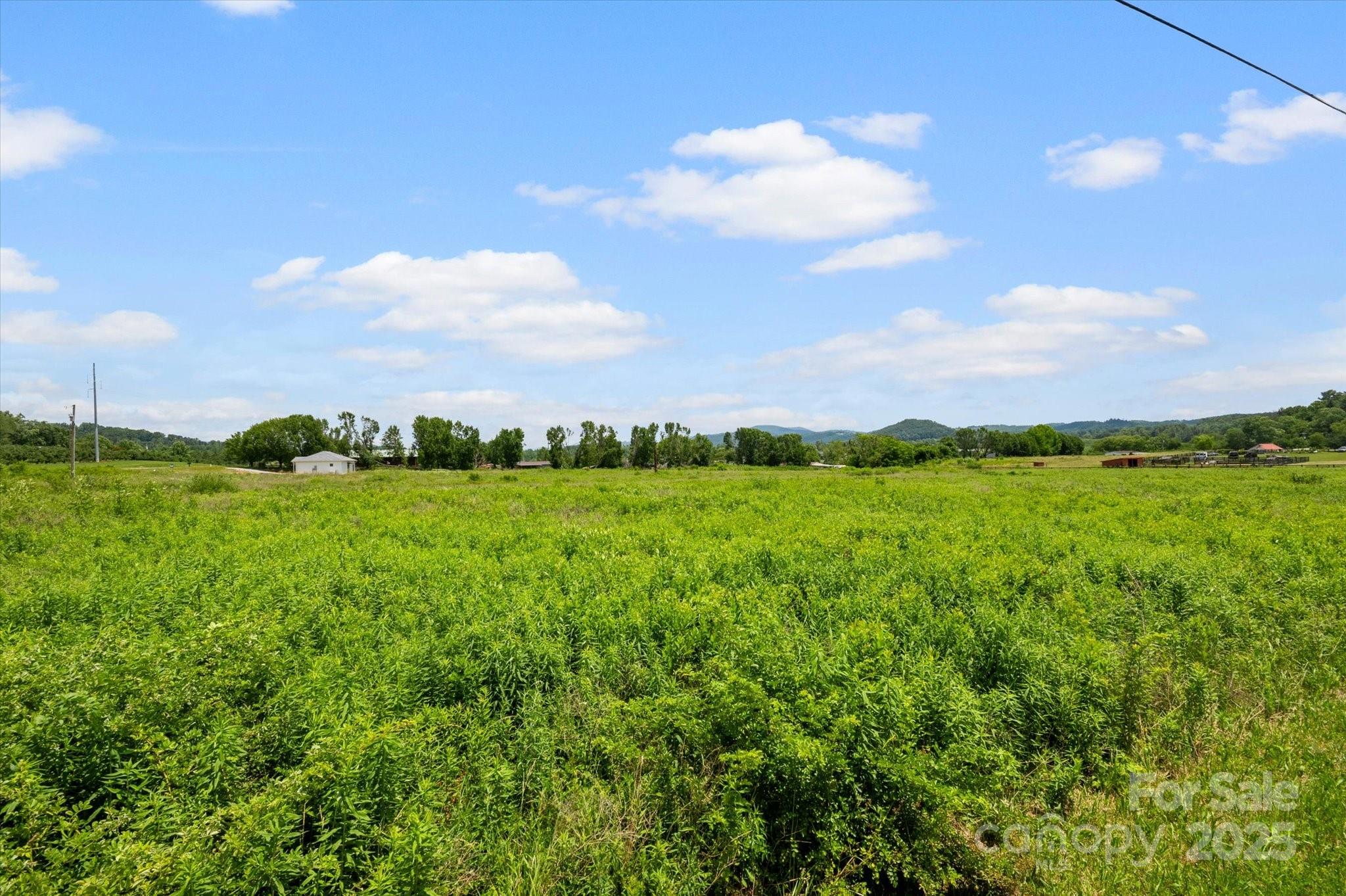 999 Pace Road Hendersonville, NC 28792 - Photo 12 of 25