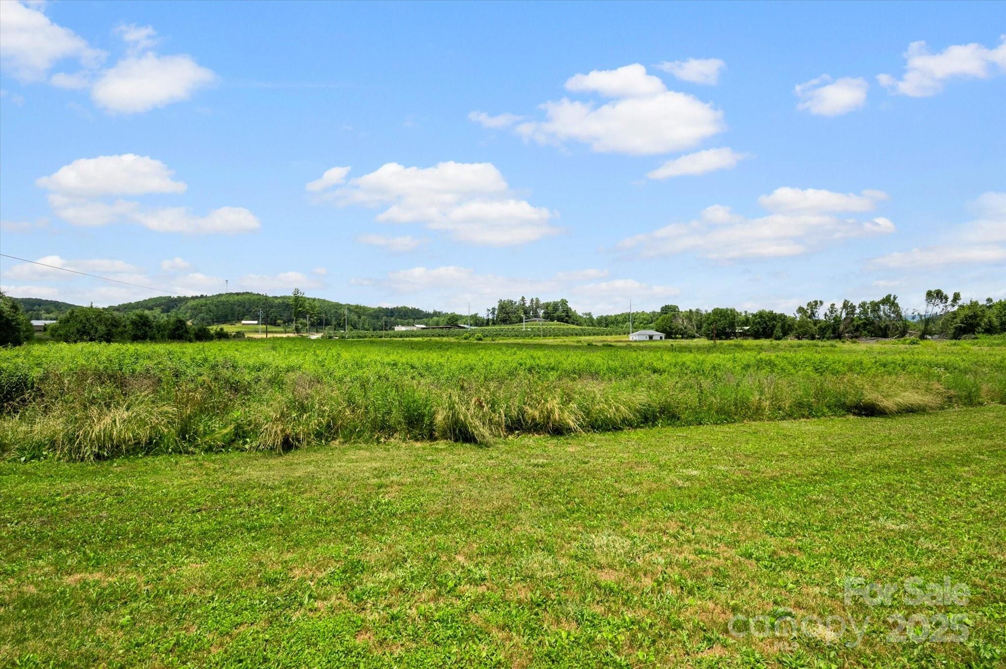 999 Pace Road Hendersonville, NC 28792 - Photo 13 of 25