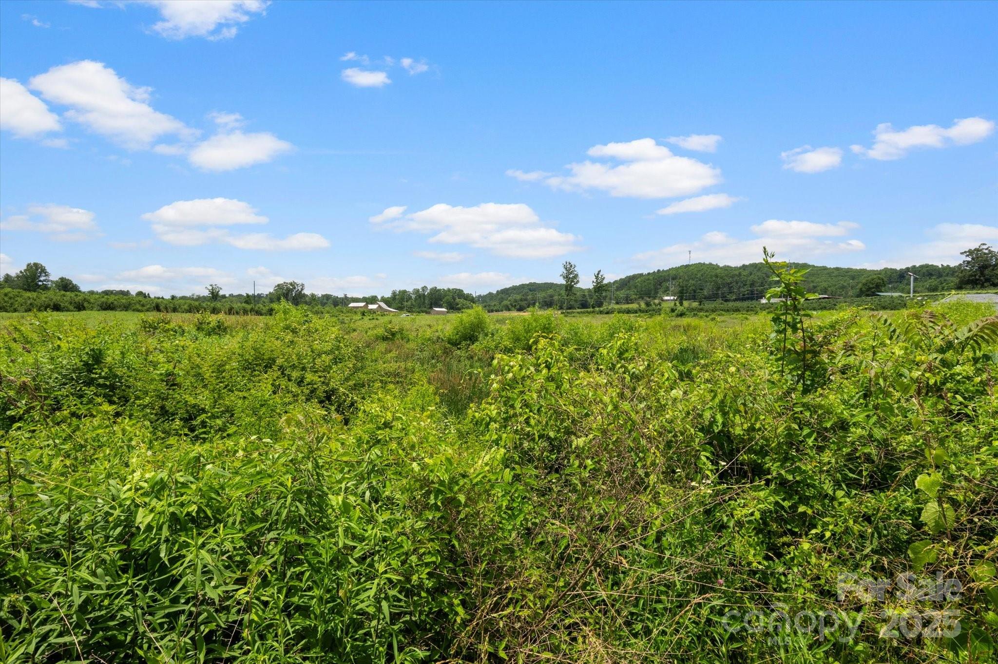 999 Pace Road Hendersonville, NC 28792 - Photo 14 of 25
