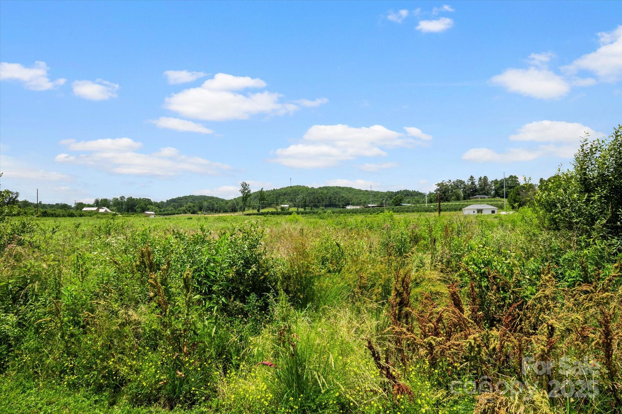 999 Pace Road Hendersonville, NC 28792 - Photo 16 of 25