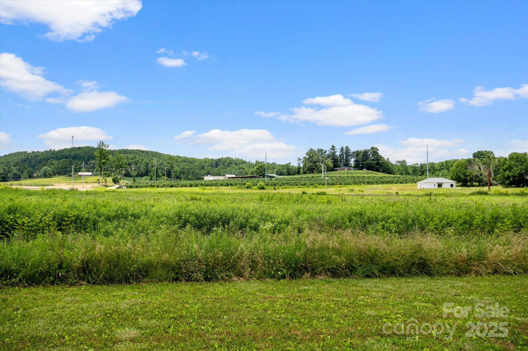 999 Pace Road Hendersonville, NC 28792 - Photo 19 of 25