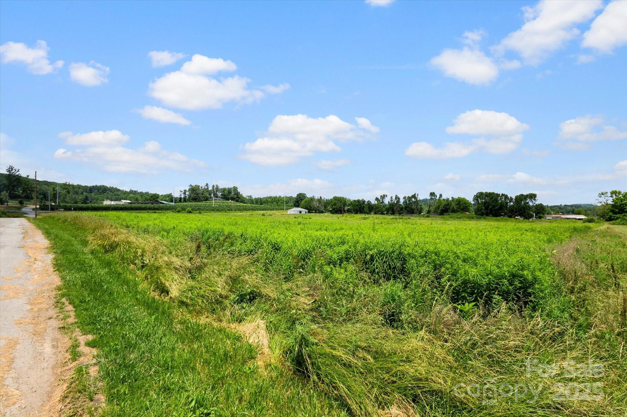 999 Pace Road Hendersonville, NC 28792 - Photo 20 of 25