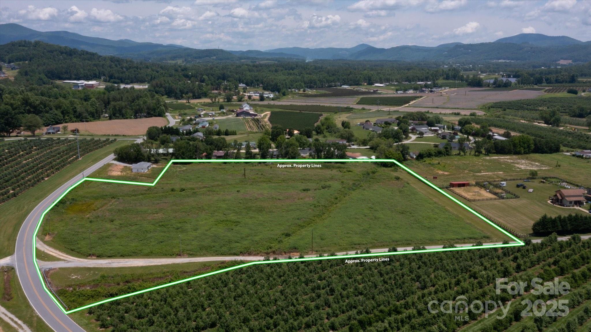 999 Pace Road Hendersonville, NC 28792 - Photo 6 of 25