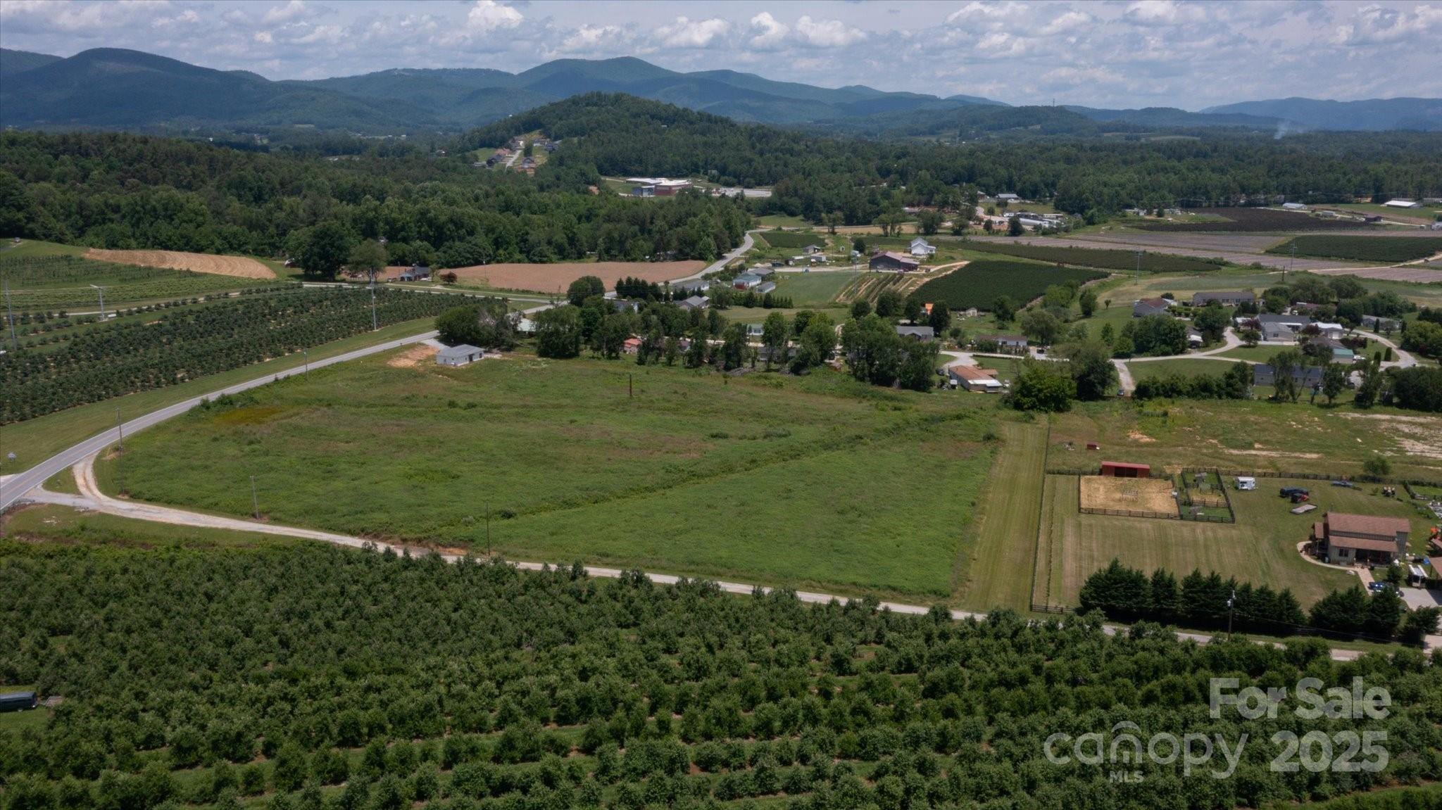 999 Pace Road Hendersonville, NC 28792 - Photo 8 of 25