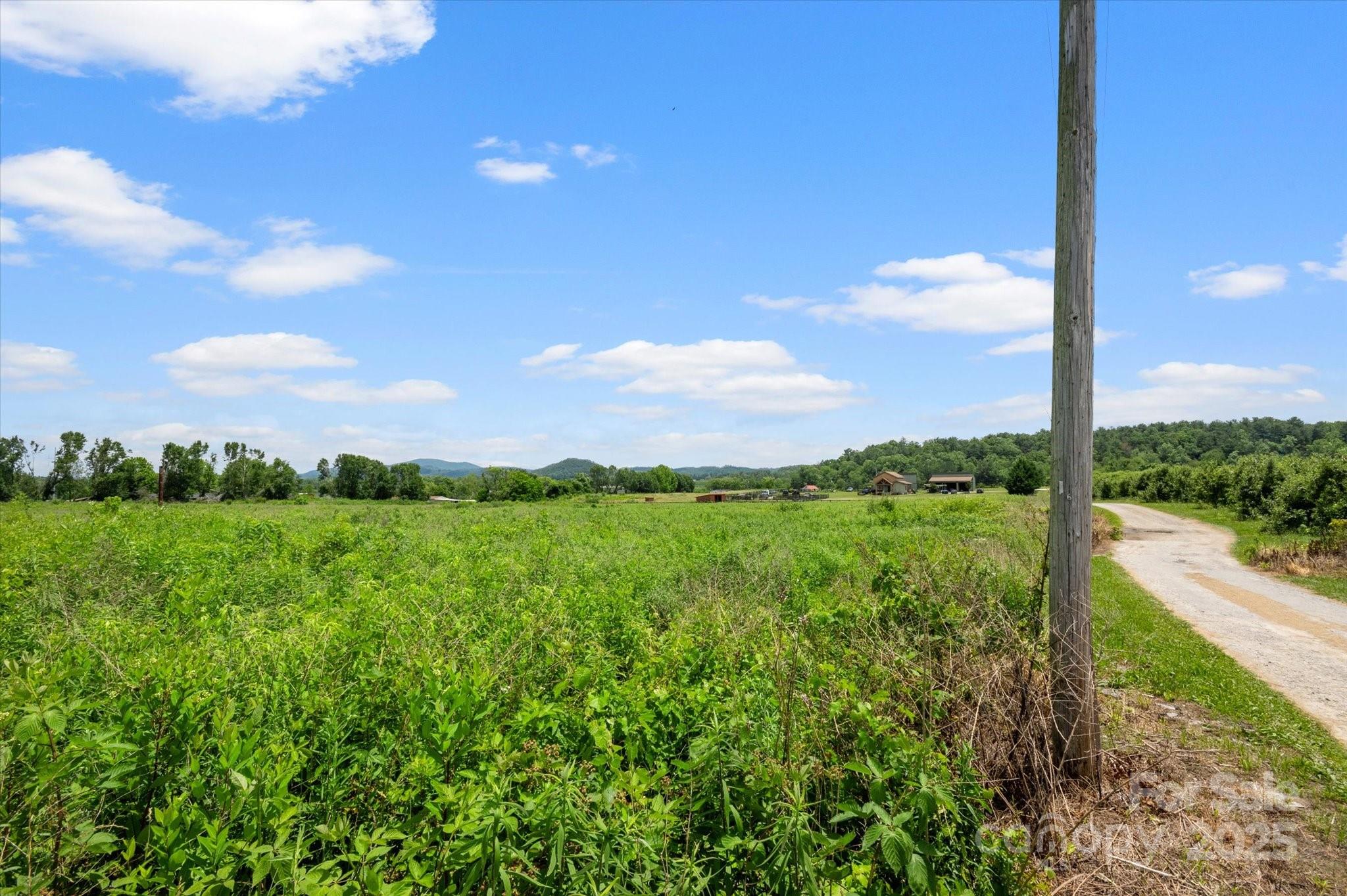 999 Pace Road Hendersonville, NC 28792 - Photo 10 of 25