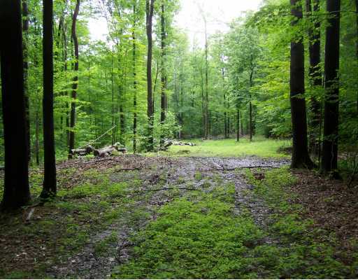 0 Carbury Road Edinboro, PA 16412 - Photo 1 of 1 Land.