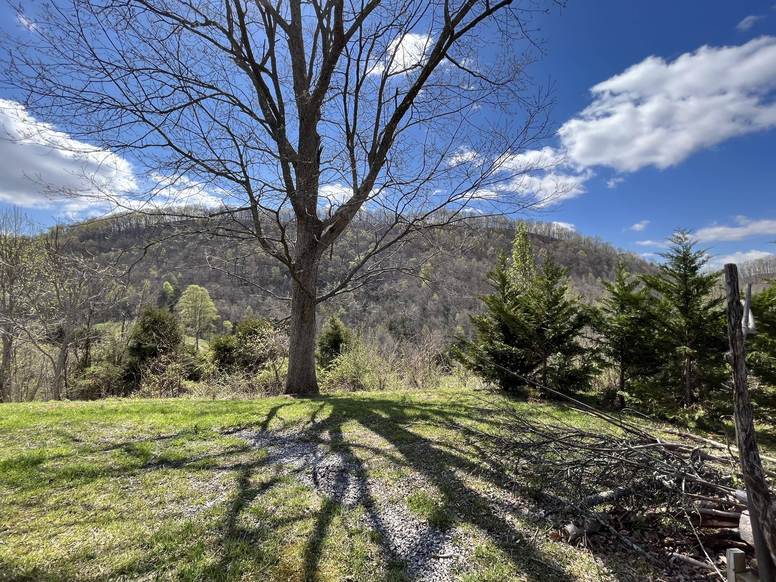 1881 Ford Branch Road Duffield, VA 24244 - Photo 2 of 48 IMG_1820