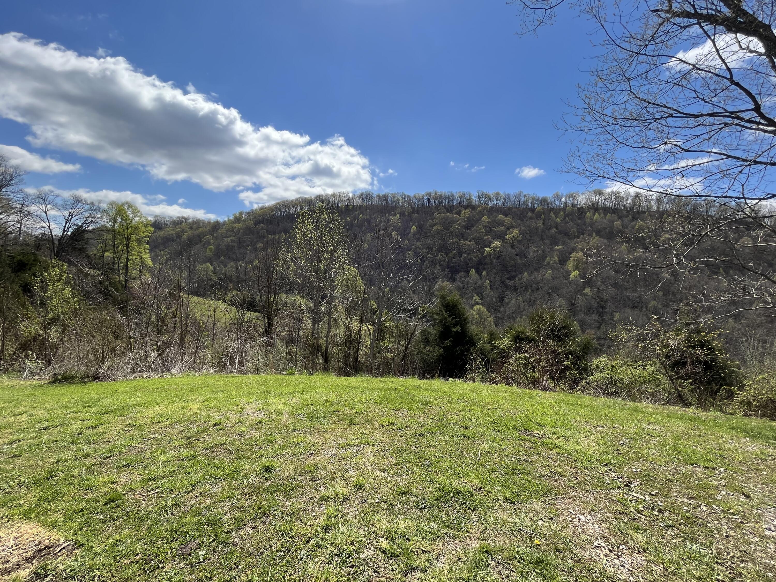 1881 Ford Branch Road Duffield, VA 24244 - Photo 3 of 48 IMG_1814