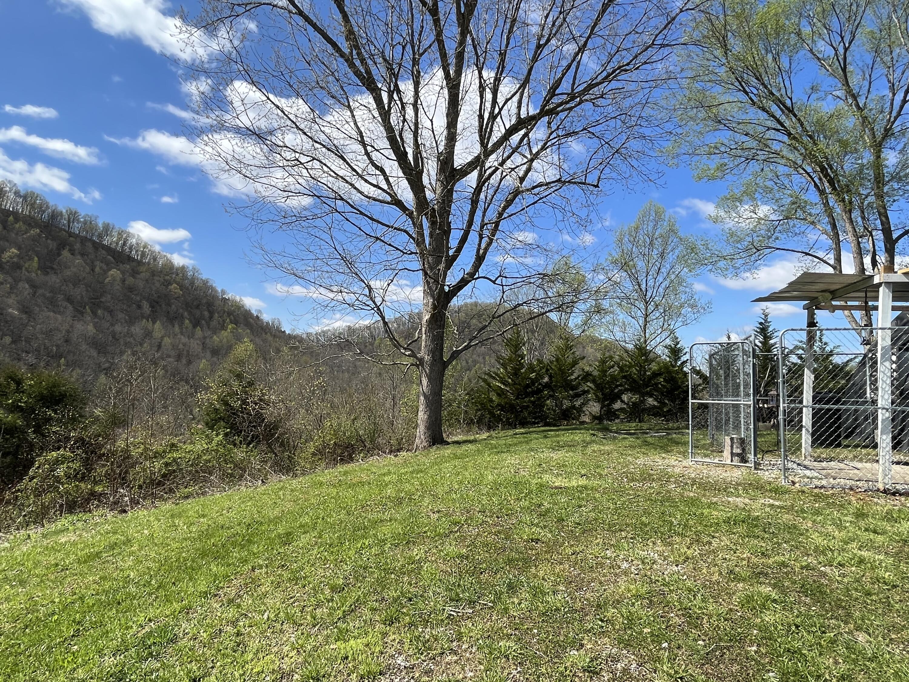 1881 Ford Branch Road Duffield, VA 24244 - Photo 5 of 48 IMG_1813