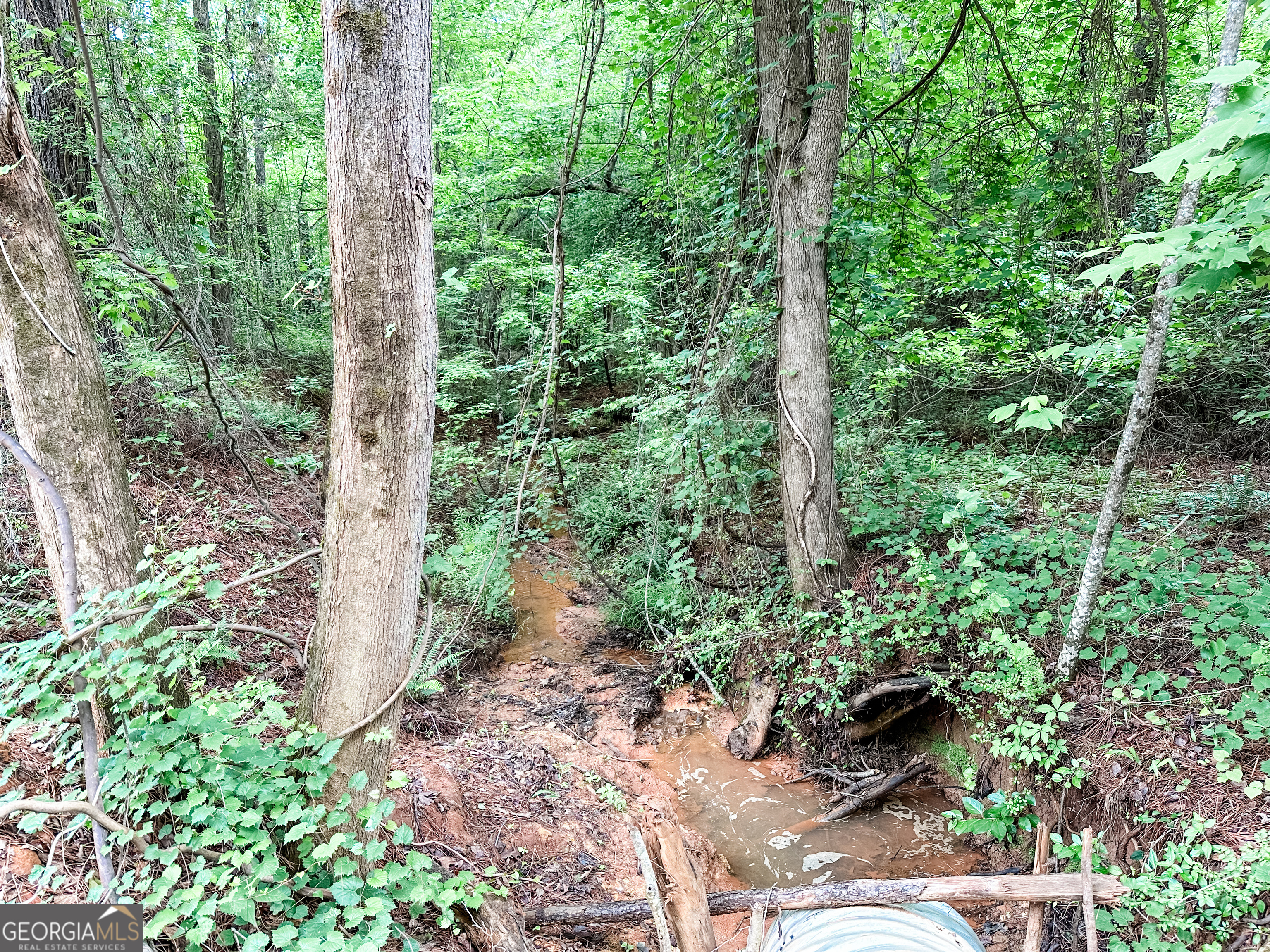 52.4-acres Goolsby Road, Unit 52 4 ACRES Monticello, GA 31064 - Photo 12 of 25