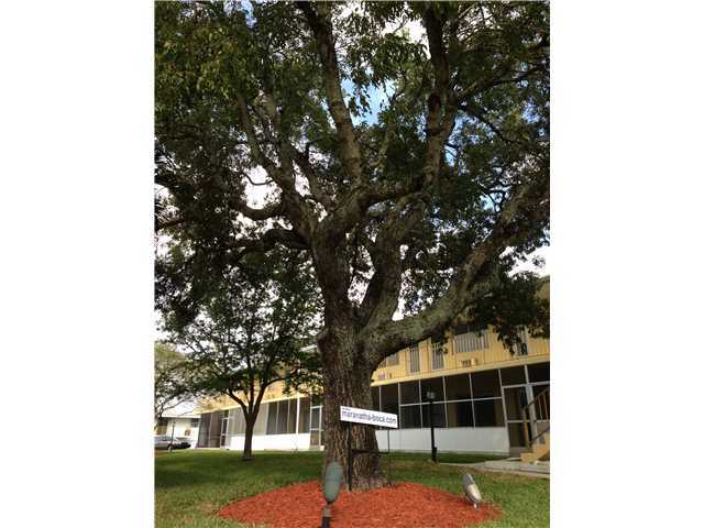 11 Southwest 4th Avenue, Unit 14B Boca Raton, FL 33432 - Photo 20 of 24 Additional Photo