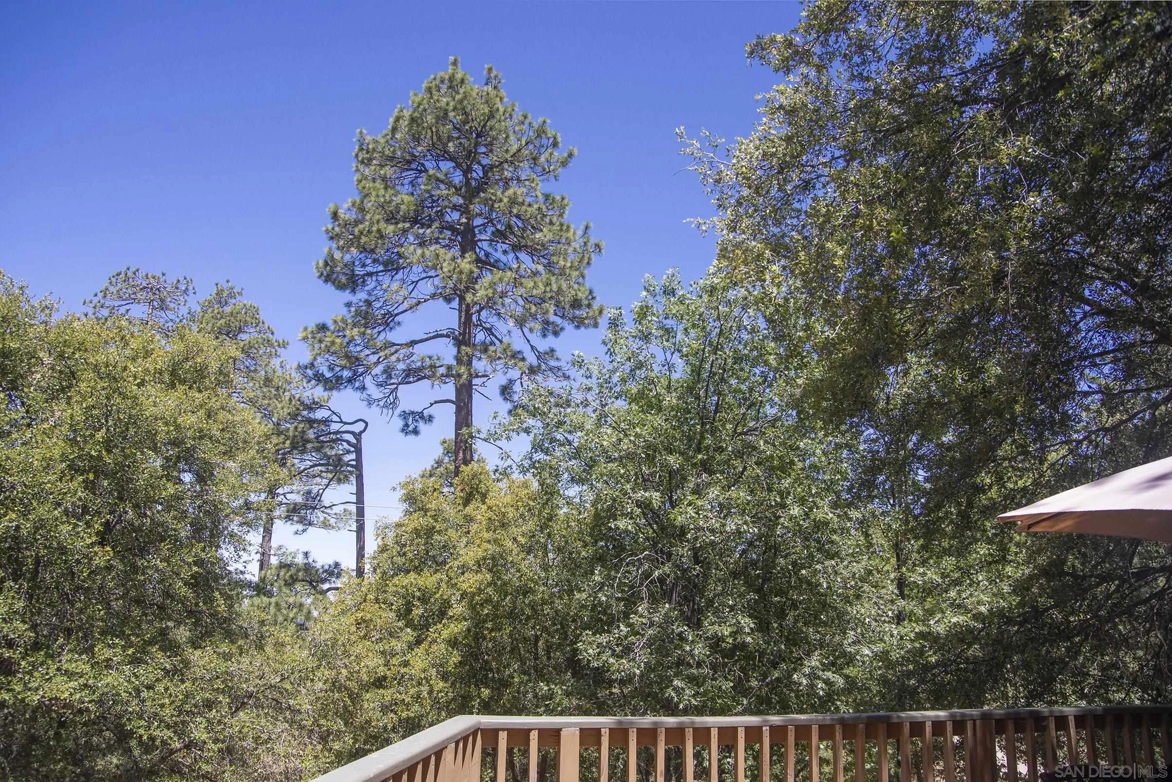 24735 Marion Ridge Drive Idyllwild, CA 92549 - Photo 17 of 29 a view of backyard with green space