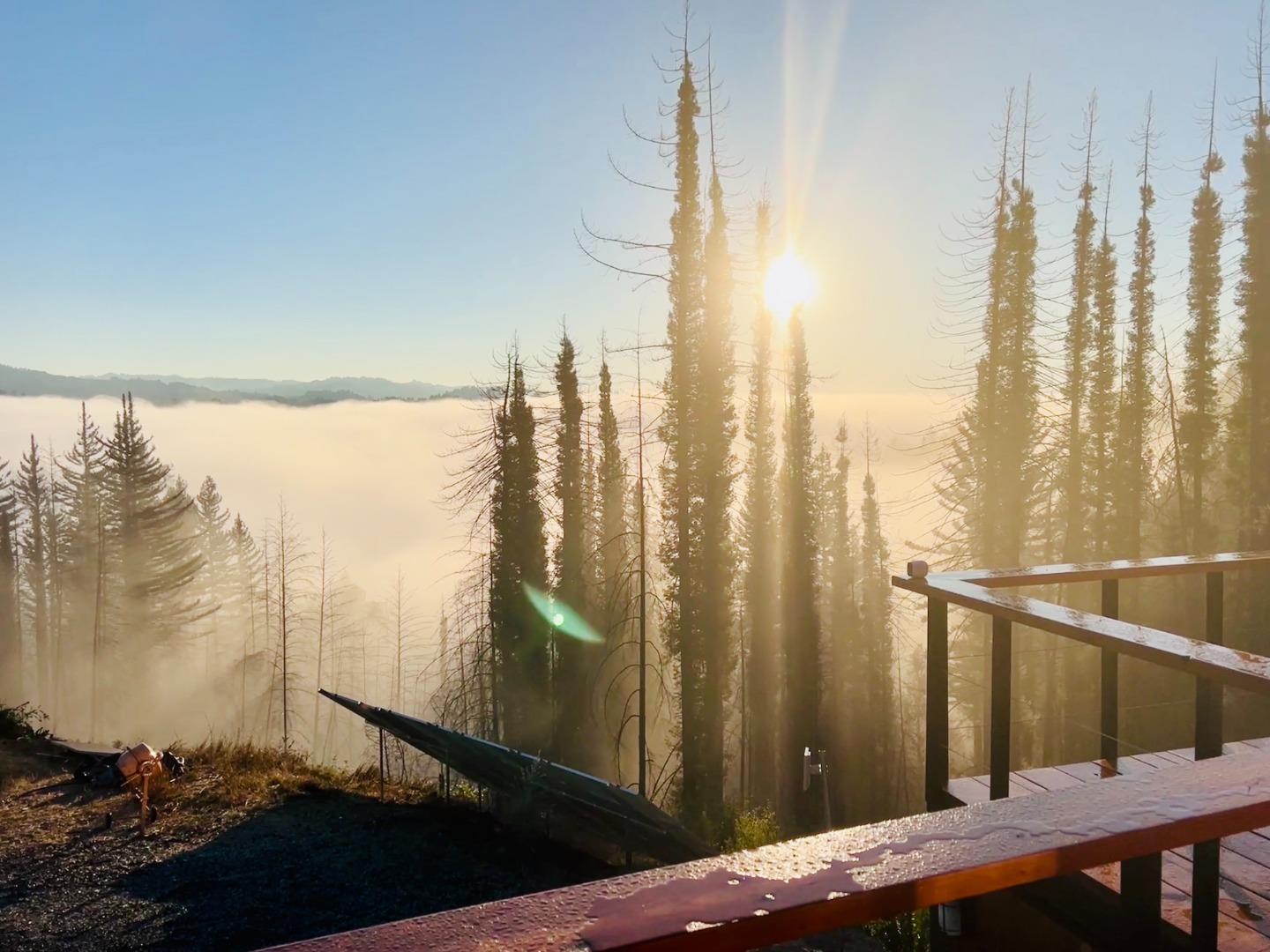 518 Container Way Boulder Creek, CA 95006 - Photo 2 of 33 a view of a balcony