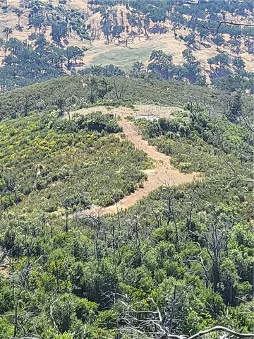 a view of a field of grass and trees
