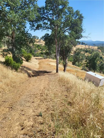 a view of large trees with wooden fence
