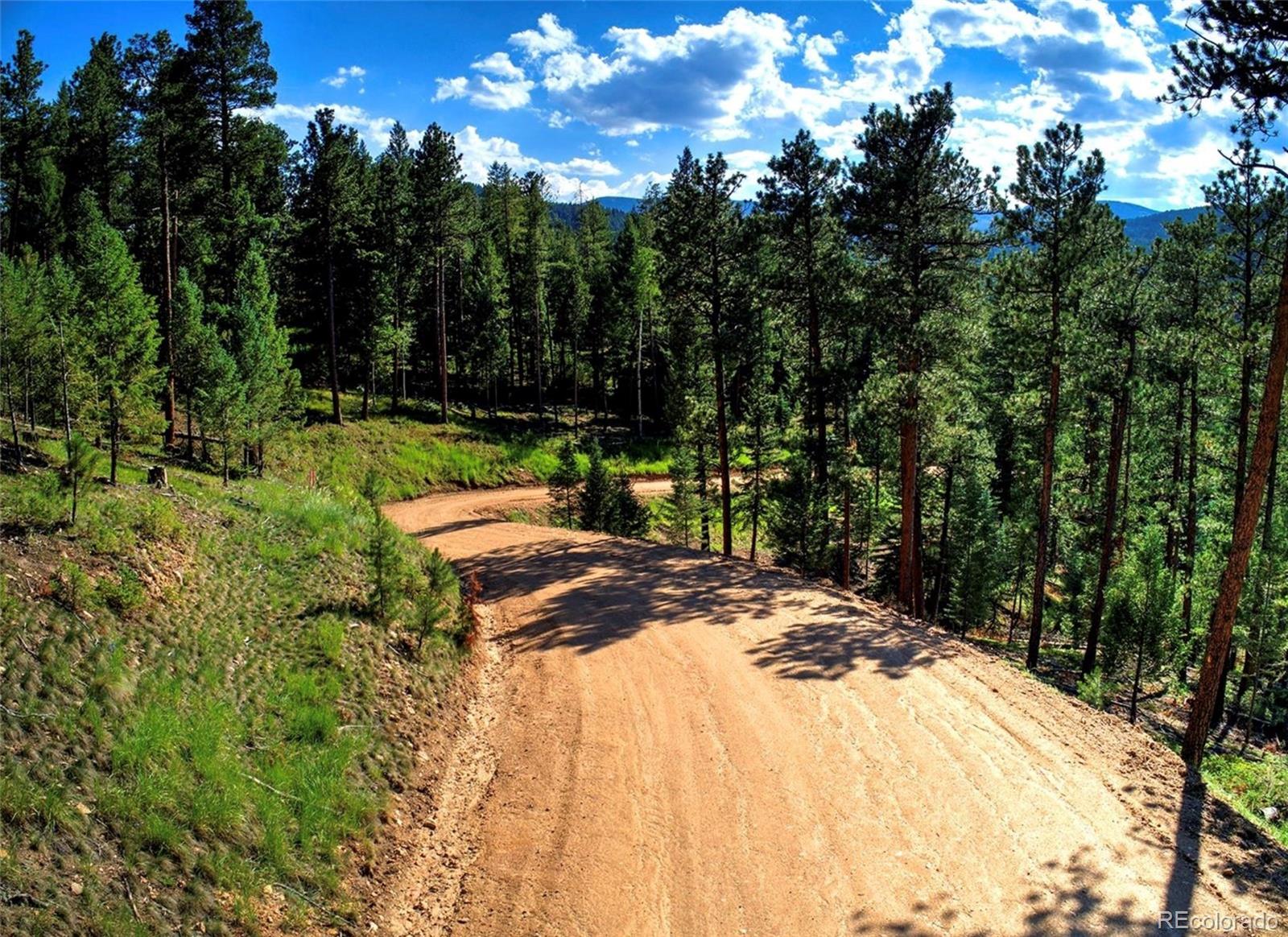6824 Lynx Lair Road Evergreen, CO 80439 - Photo 9 of 18