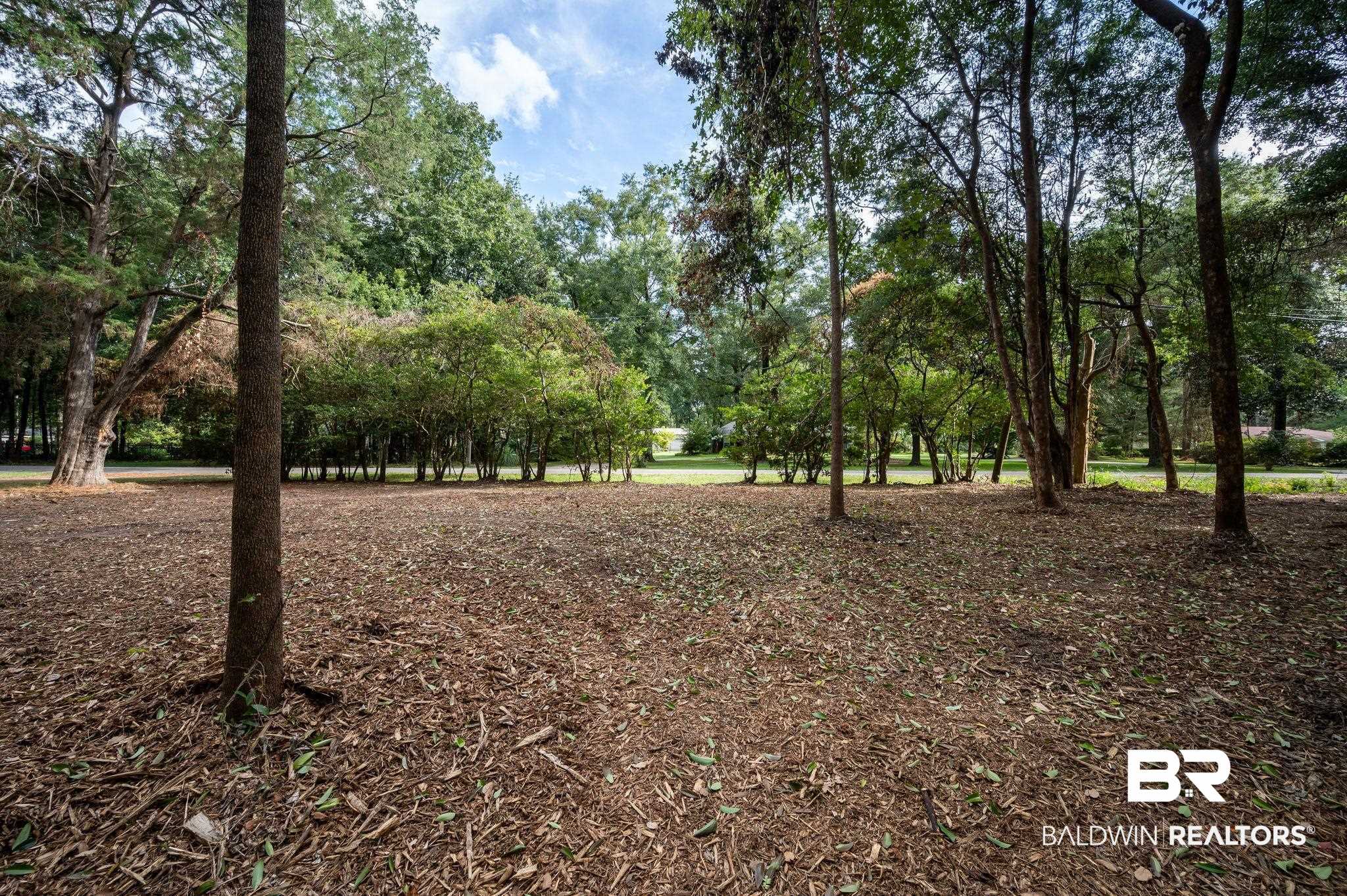 2318 Burgett Road Mobile, AL 36605 - Photo 19 of 26 View of community