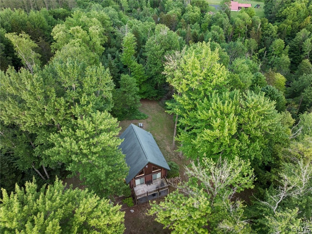 171 Ash Creek Road Ohio, NY 13324 - Photo 17 of 49
