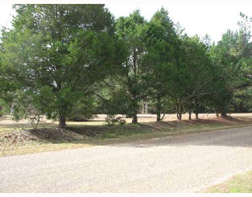 971 Turnage Chapel Road Tylertown, MS 39667 - Photo 2 of 8 Gallery Image 2