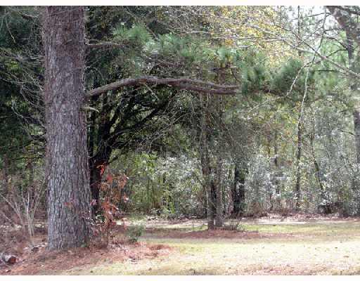 971 Turnage Chapel Road Tylertown, MS 39667 - Photo 3 of 8 Gallery Image 3