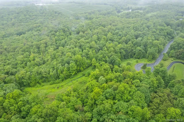 a view of a big yard with plants and large trees