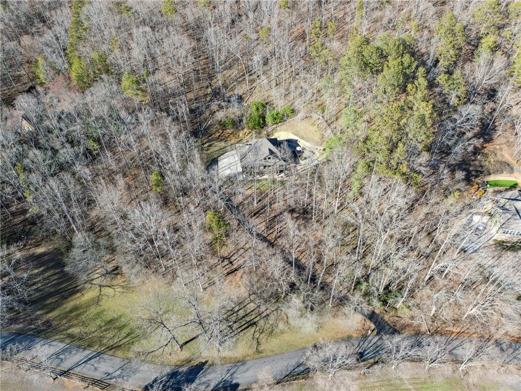 101 Bevil Ridge Road Southeast Emerson, GA 30137 - Photo 63 of 74 a view of a tree in a yard