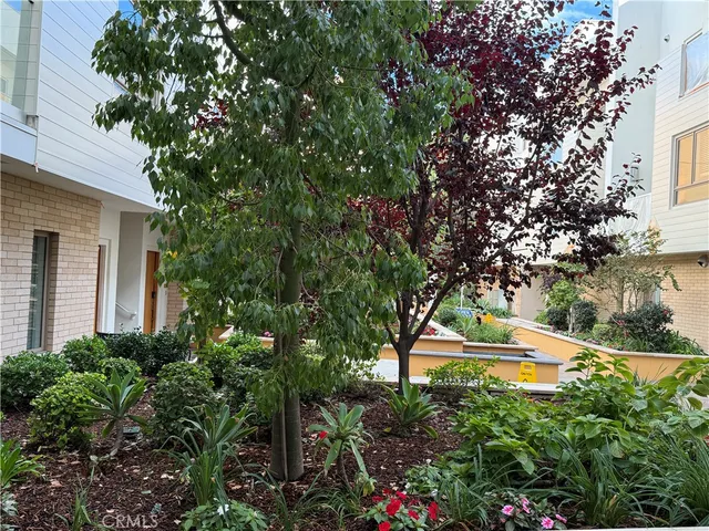 a view of a yard with potted plants