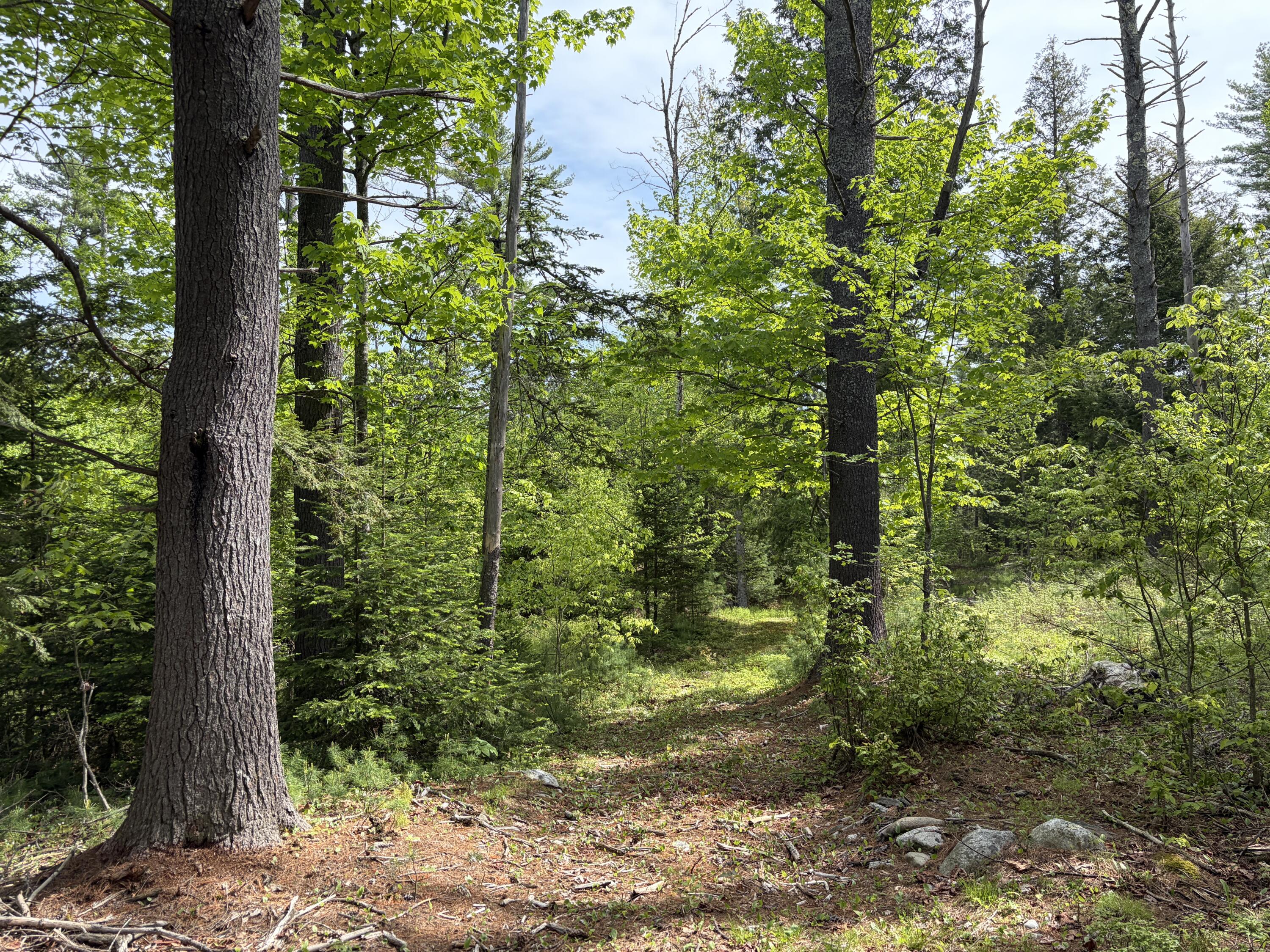 Lot 1 Waldoboro Road Washington, ME 04574 - Photo 12 of 39