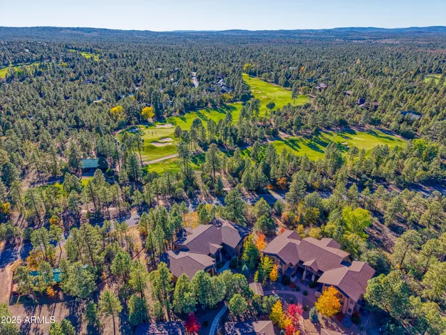 a view of a bunch of trees and houses