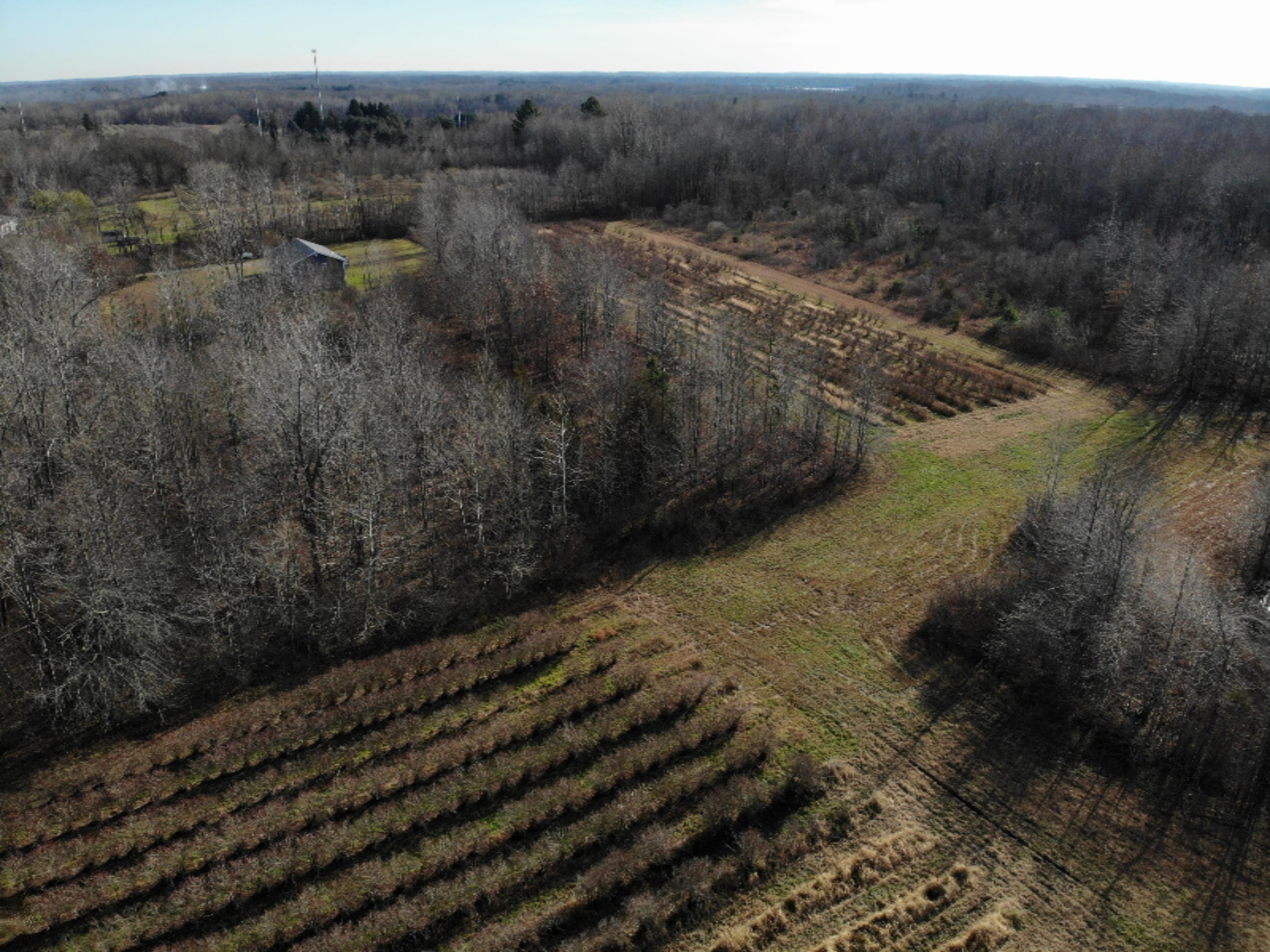V/l Hagar Shore Road Coloma, MI 49038 - Photo 4 of 41 DJI_0434
