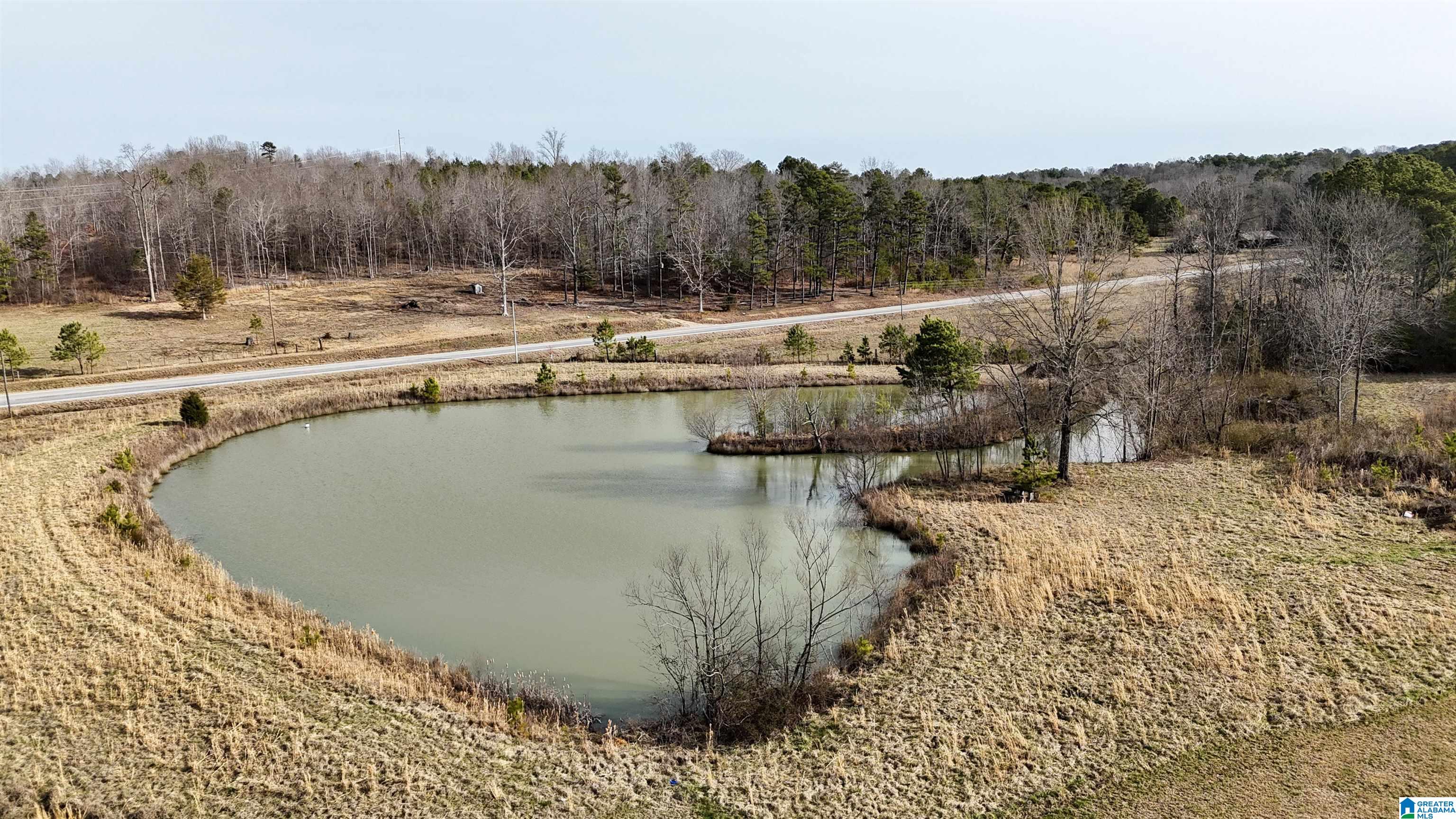 3410 Highway 132 Oneonta, AL 35121 - Photo 36 of 46