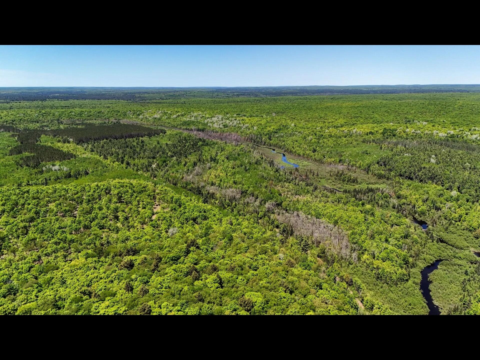 16 Federal Forest Highway Iron River, MI 49935 - Photo 6 of 12 7